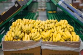 Российские торговые сети ищут замену бананам из Эквадора