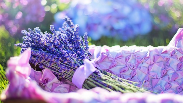 Подборка от Viber: самые актуальные подарки в самом актуальном фиолетовом цвете Подборка от Viber: самые актуальные подарки в самом актуальном фиолетовом цвете