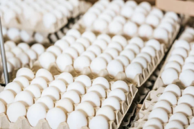 До 36% выросла доля покупок яиц среди самых популярных продуктов у россиян