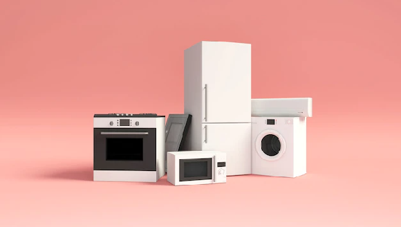 ЕС обеспокоен ростом поставок бытовой техники из Армении и Казахстана в РФ