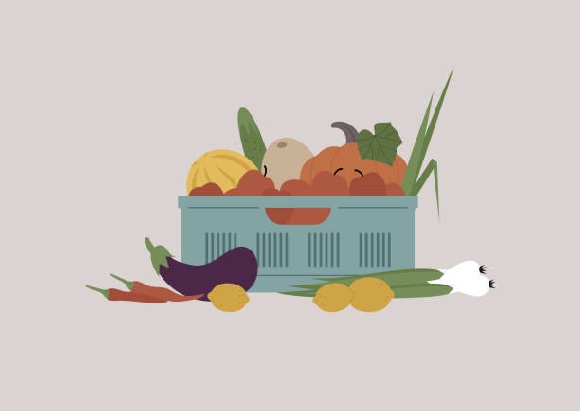 Россияне стали чаще покупать фермерские продукты Россияне стали чаще покупать фермерские продукты