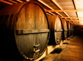 В Анапе построят винодельню полного цикла с объемом производства 500 тыс. бутылок в год